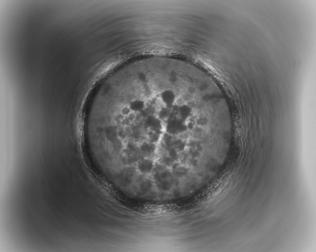 X0000096400679200801241201