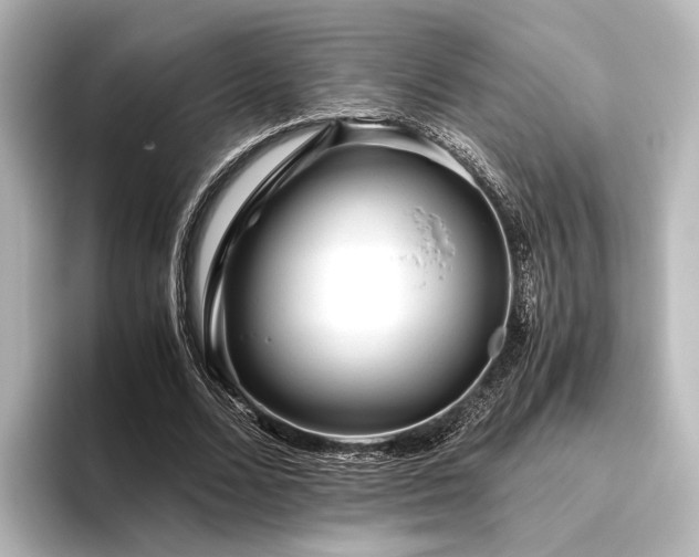 X0000096400680200801241201