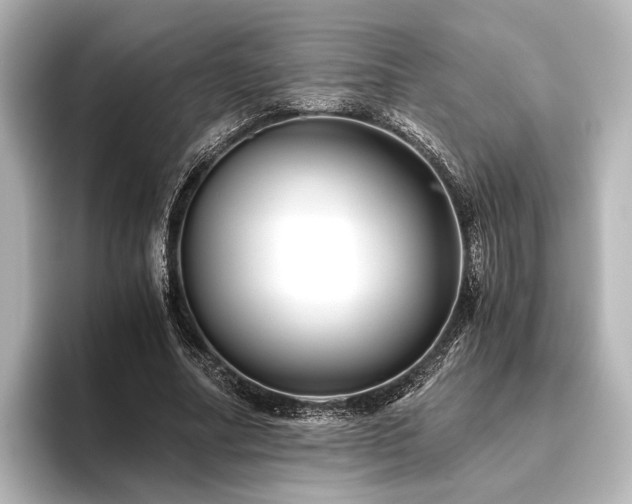 X0000096400682200801241201