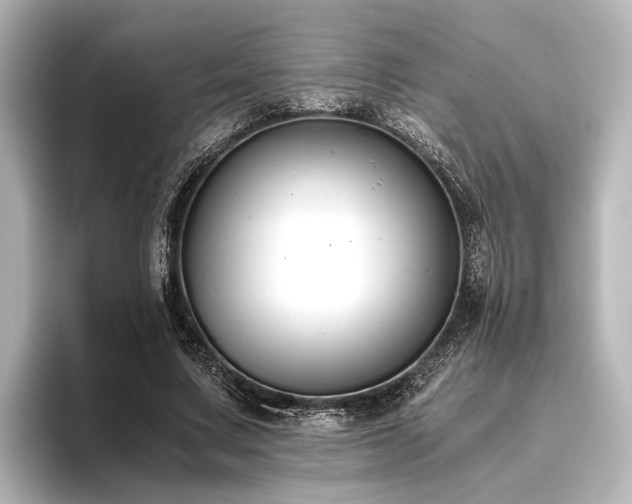 X0000096400683200801241201