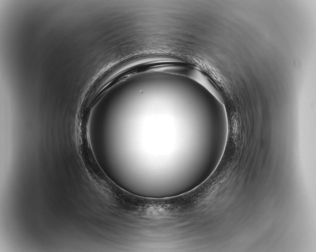 X0000096400684200801241201