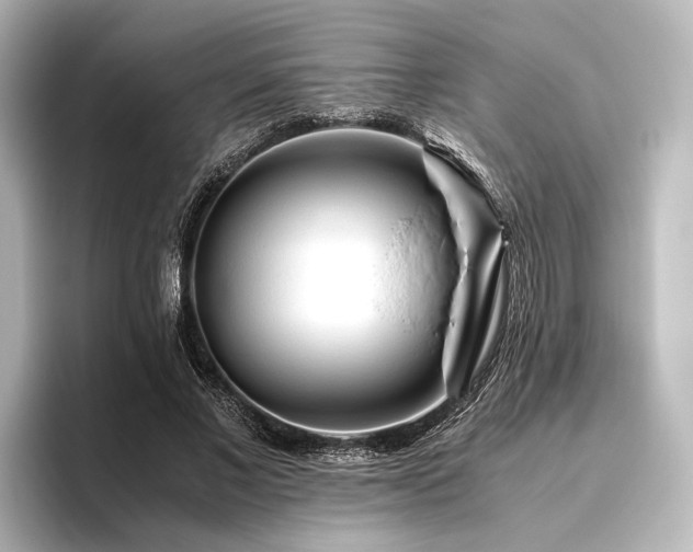 X0000096400685200801241201