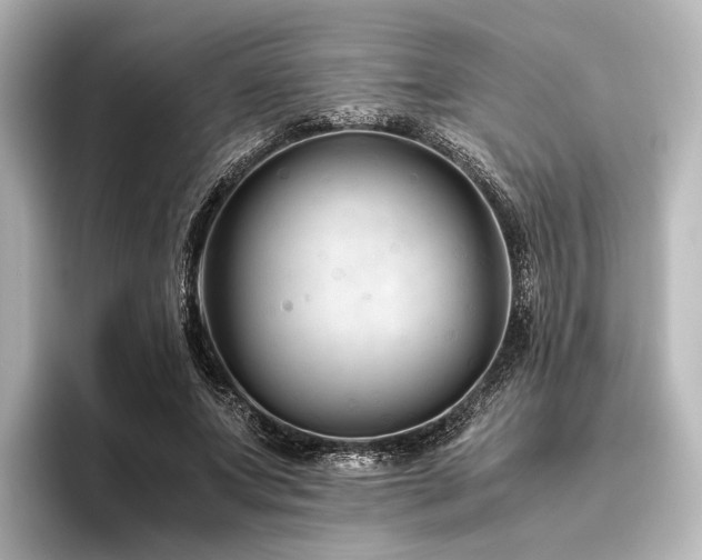 X0000096400687200801241201