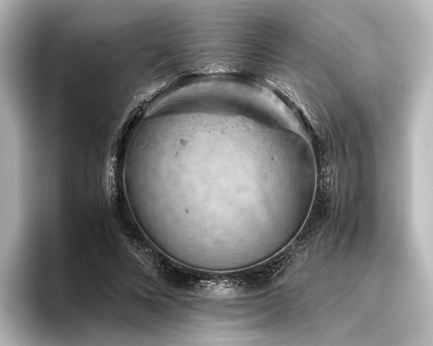 X0000096400688200801241201