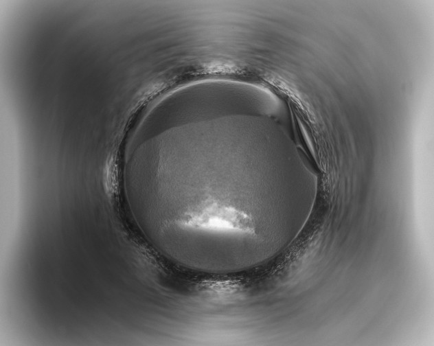 X0000096400689200801241201