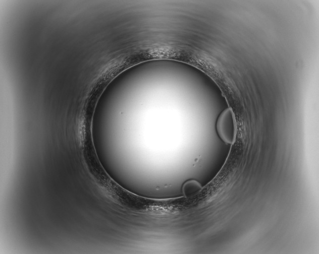 X0000096400690200801241201