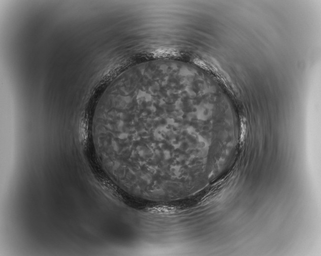 X0000096400691200801241201