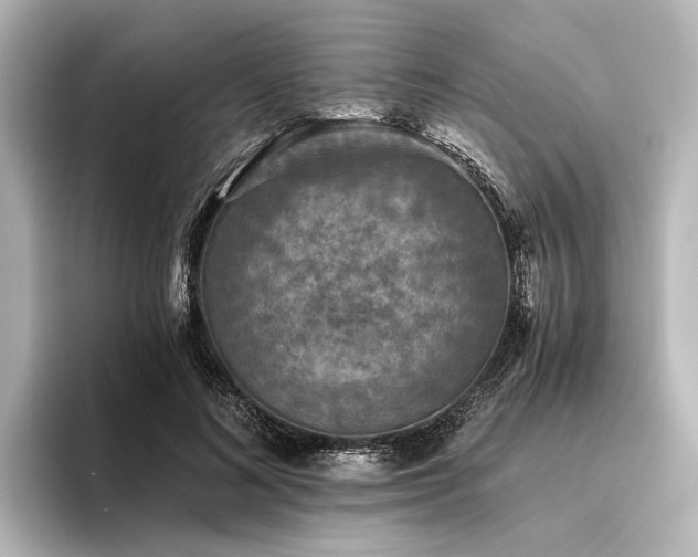 X0000096400692200801241201