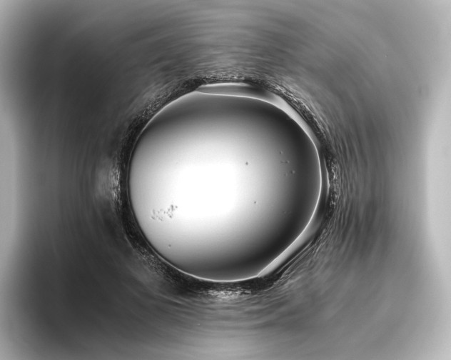 X0000096400693200801241201