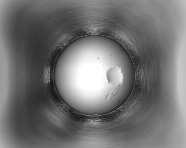 X0000096400694200801241201