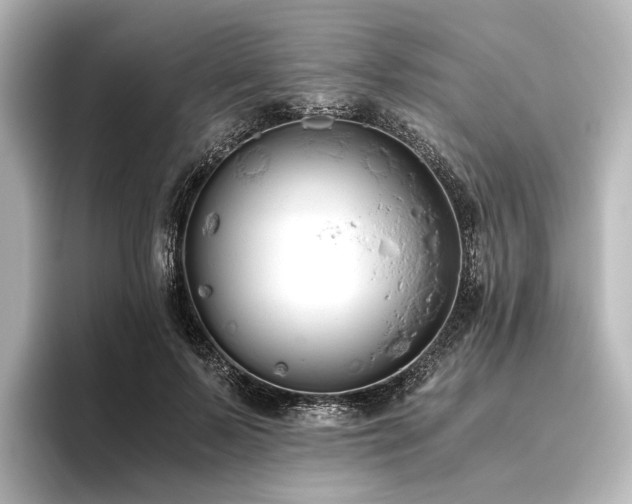 X0000096400695200801241201