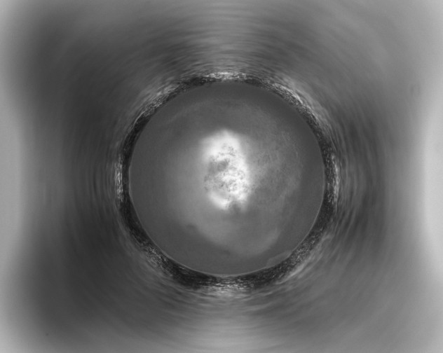 X0000096400696200801241201