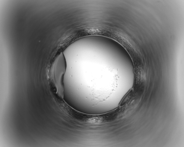 X0000096400700200801241201