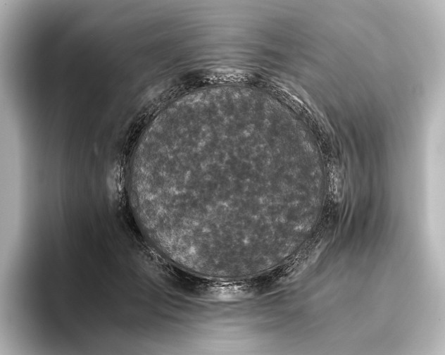 X0000096400701200801241201