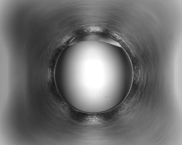 X0000096400704200801241201