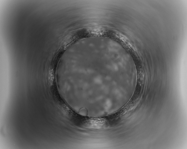 X0000096400707200801241201