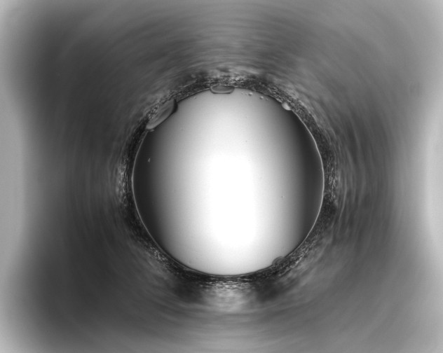 X0000096400708200801241201