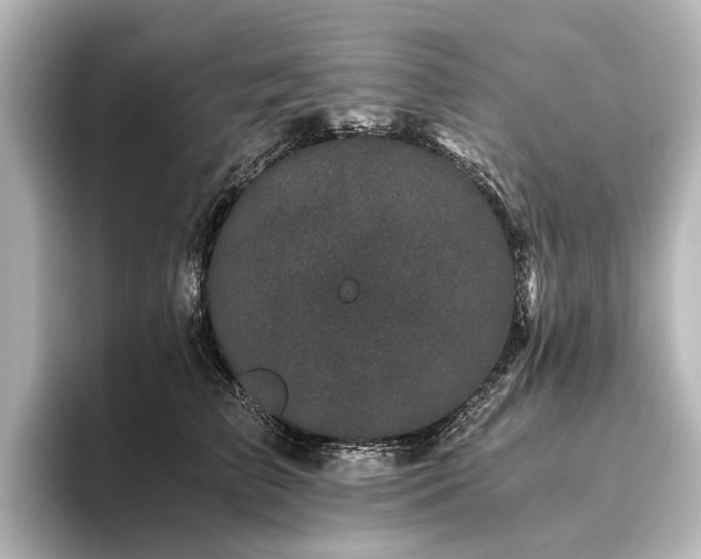 X0000096400709200801241201