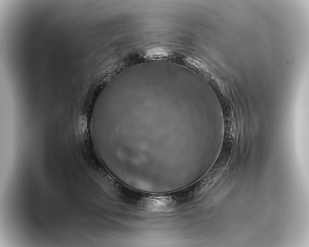 X0000096400711200801241201