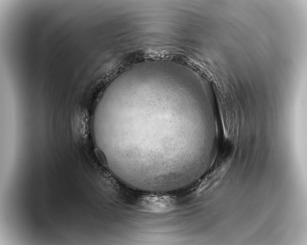 X0000096400712200801241201