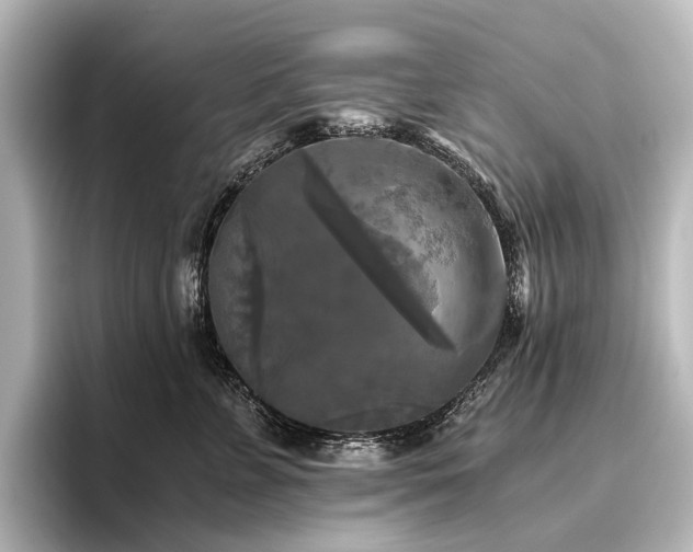 X0000096400715200801241201