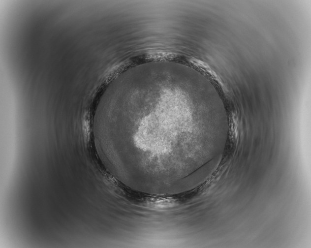 X0000096400716200801241201