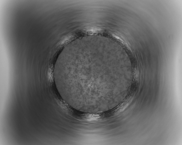 X0000096400719200801241201