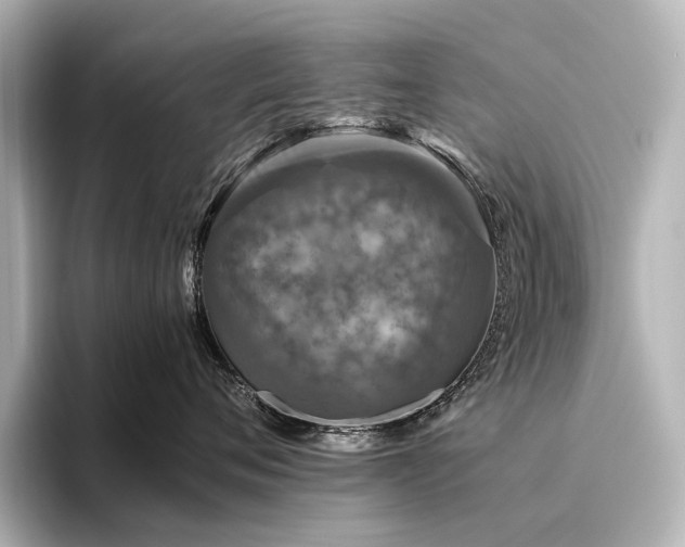 X0000096400720200801241201