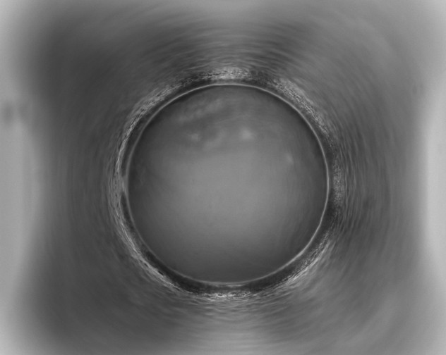 X0000096400721200801241200