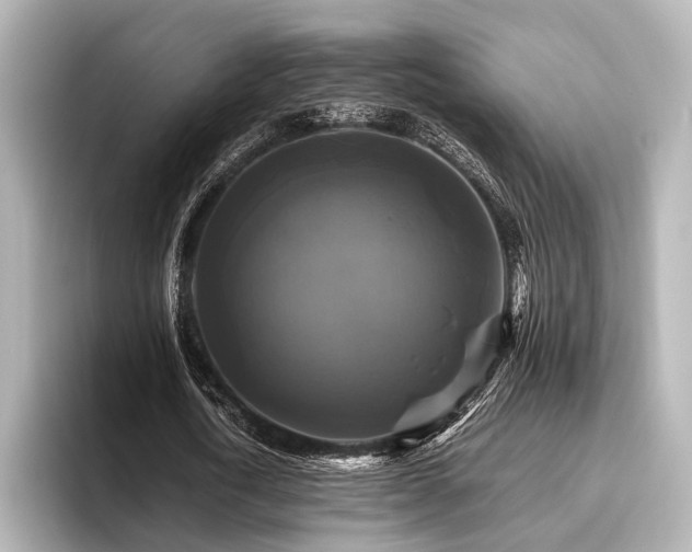 X0000096400722200801241200