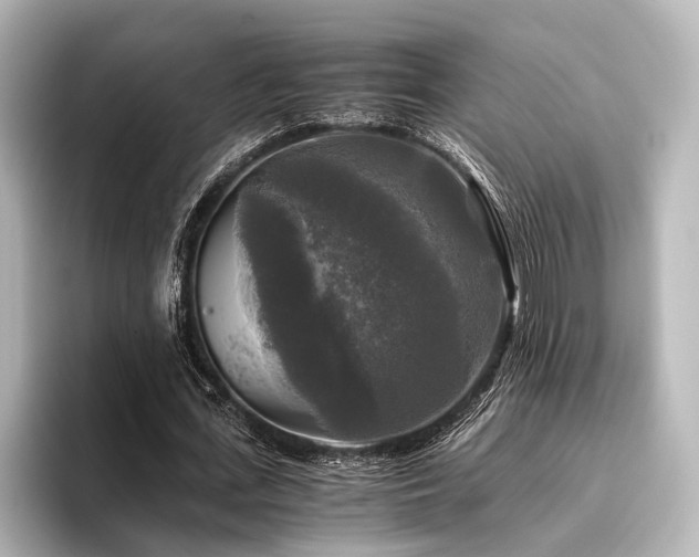 X0000096400723200801241200