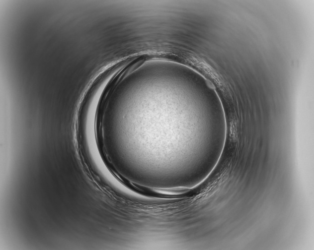 X0000096400724200801241200