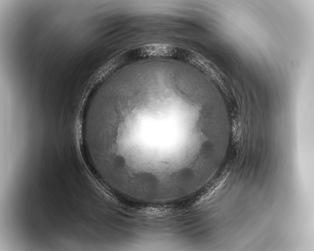 X0000096400725200801241200