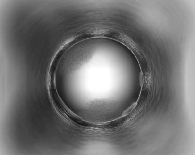 X0000096400726200801241200