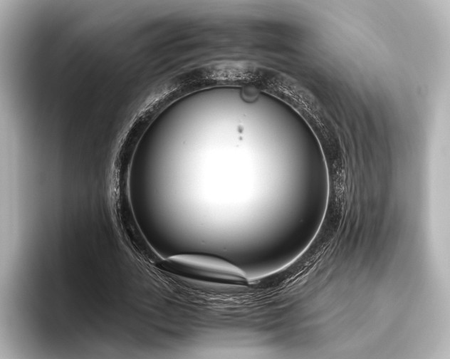 X0000096400727200801241200