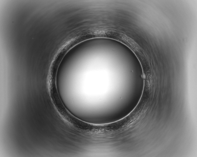 X0000096400728200801241200