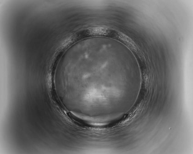 X0000096400729200801241200