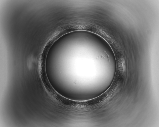 X0000096400730200801241200