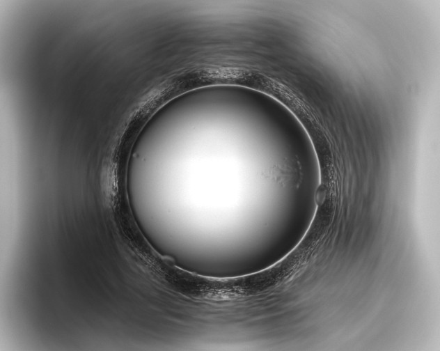 X0000096400731200801241200