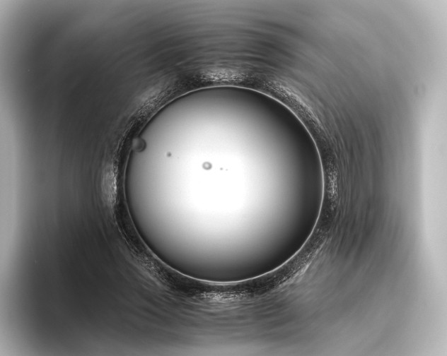 X0000096400733200801241200