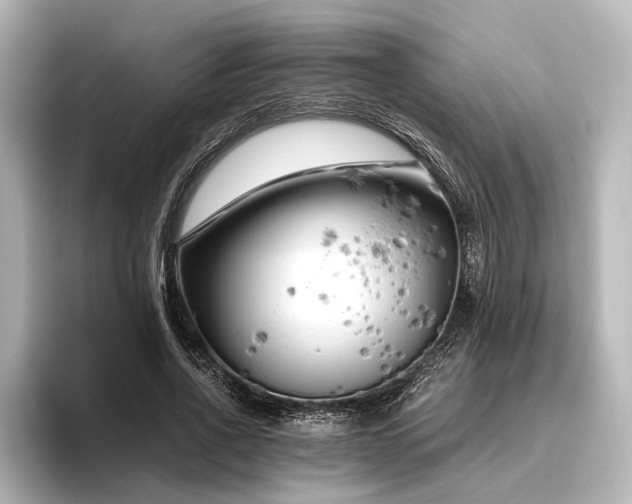 X0000096400734200801241200