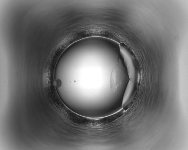 X0000096400735200801241200