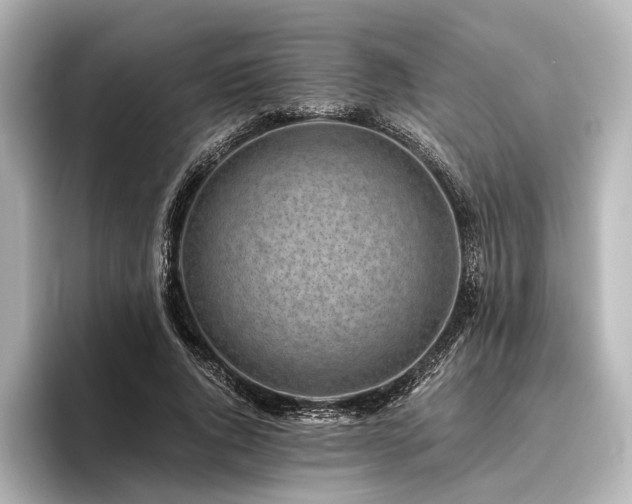 X0000096400736200801241200