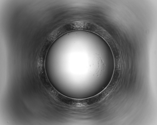 X0000096400737200801241200