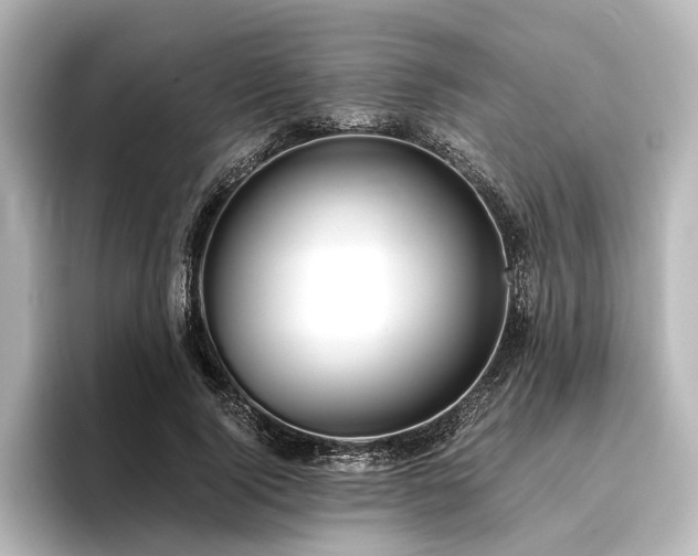 X0000096400740200801241200