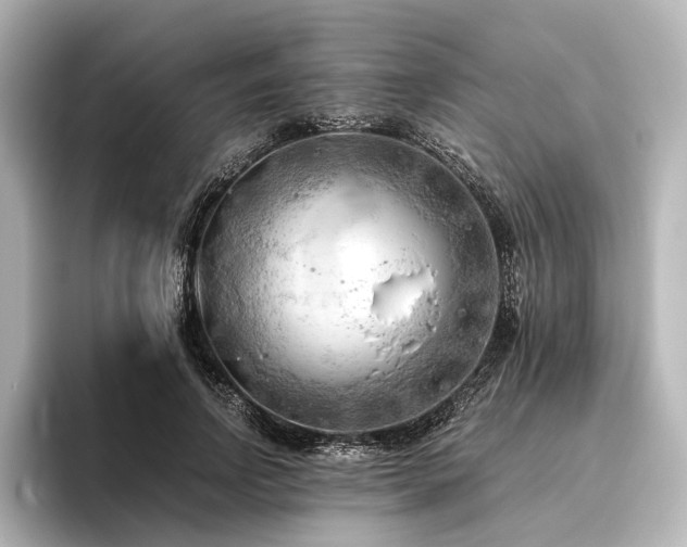 X0000096400742200801241200