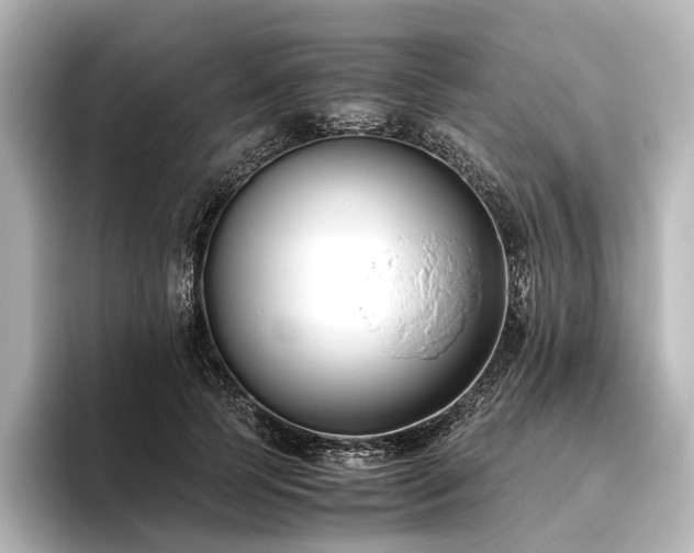 X0000096400745200801241200