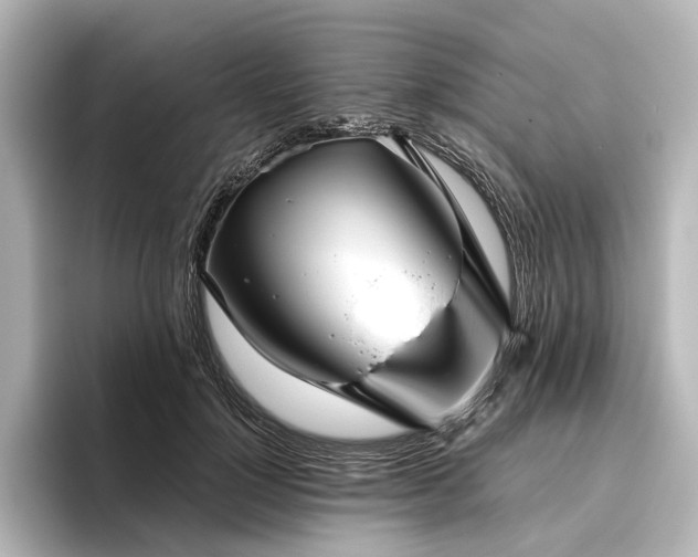 X0000096400748200801241200