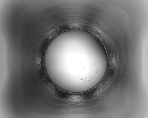 X0000096400749200801241200