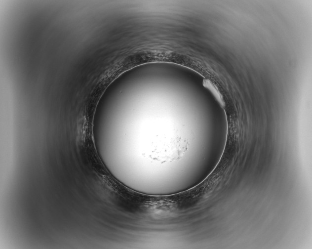 X0000096400752200801241200